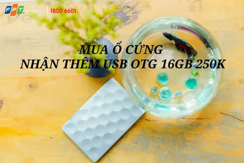 Chọn loa Bluetooth và ổ cứng, FPT Shop tặng bạn túi du lịch mini và USB OTG 16GB